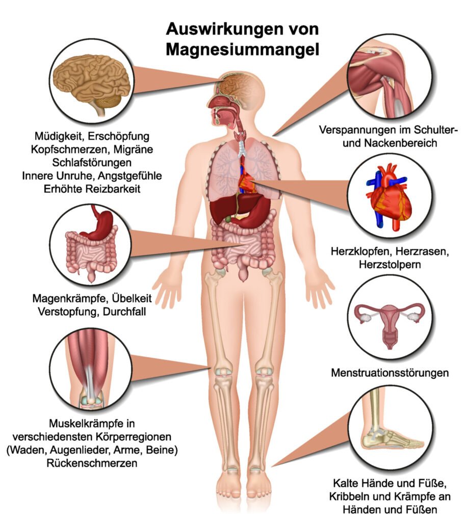 Magnesiumoxid Wirkung auf den Darm im Überblick magnesiumoxid wirkung darm